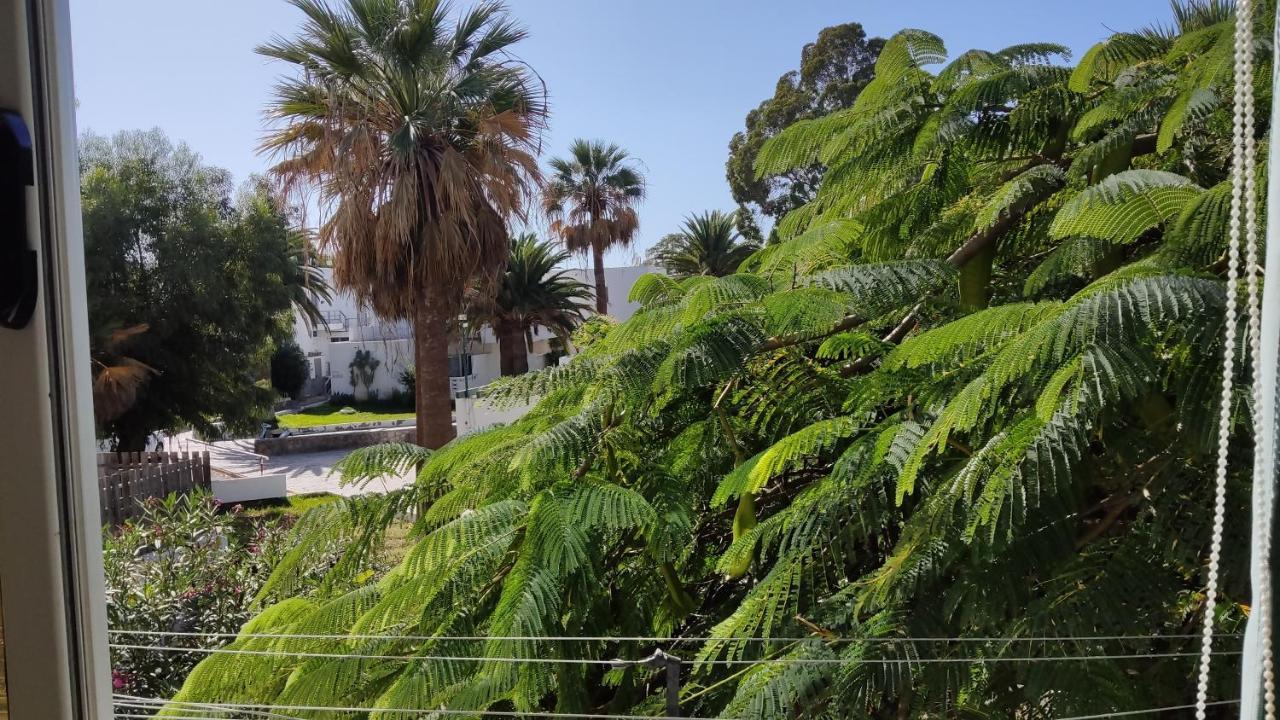 Marysol - Lovely Studio Tenerife Sur Arona  Exterior foto